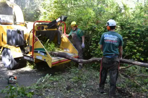 tree services Carlock